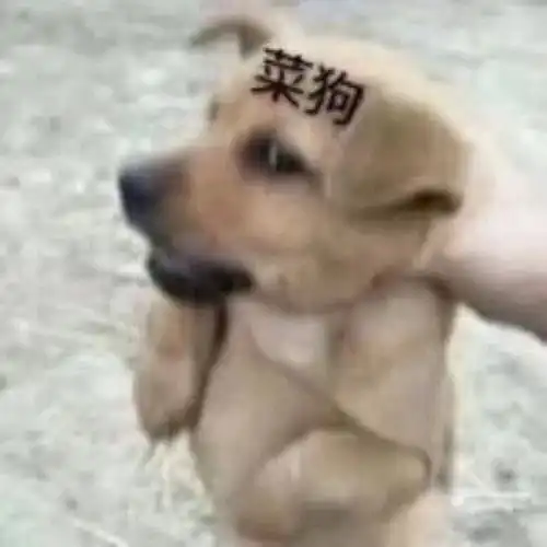 我的收藏