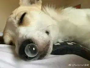 你的2017年过得咋样本年度最火图片,你一定在朋友圈见过