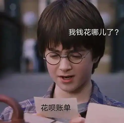 哈利波特表情包今天不学习明天变垃圾
