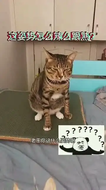 一觉醒来看到它这个表情,困意直接被笑没了
