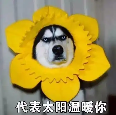 2收藏夹