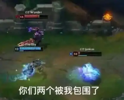 lol世界赛,ig击败g2后的搞笑图集,太有才了