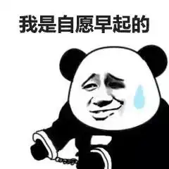 help我被我的床绑架了