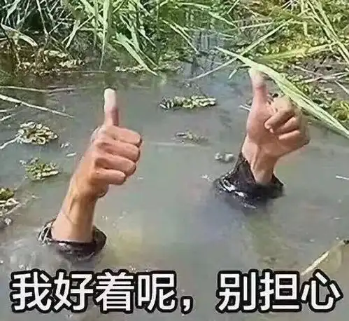 不如我们一起来靠写朋友圈文案发家
