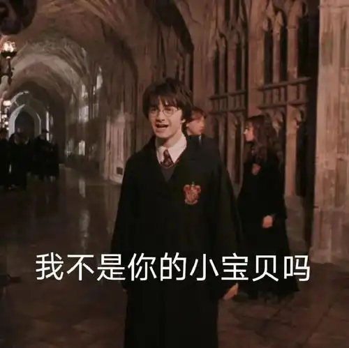 沙雕表情包丨我不是你的小宝贝吗