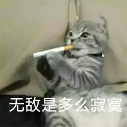 恶搞猫咪qq表情包