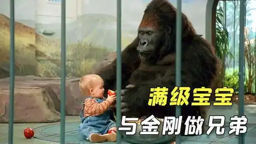 搞笑喜剧宝宝被坏人抓住,被大猩猩保护,坏蛋没有一点办法