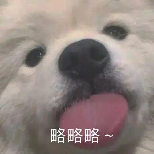 聊天斗图表情包丨甜心我来啦