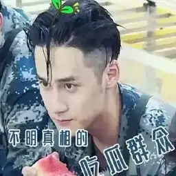 蒋劲夫刚从真正男子汉毕业,能当好杨王爷吗