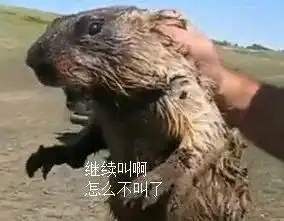 测试一个超长简介的文章