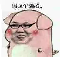 骚猪表情包搞笑图片