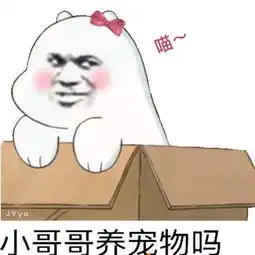 最近火了搞笑表情小哥哥要不要养我这么一直可爱的动物