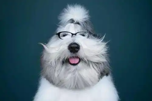 来自天使的微笑