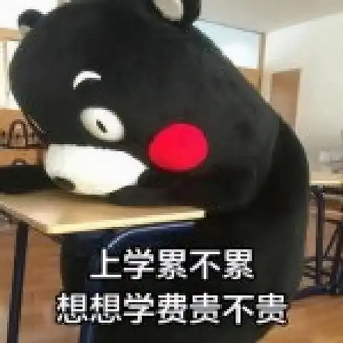 今日推荐熊熊累不累苦不苦金馆长表情包