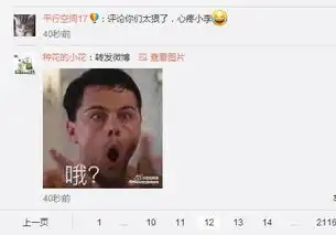 奥斯卡影帝莱昂纳多开微博向中国问好网友刷表情包欢迎