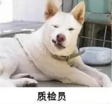 施工单位各类人员表情图太形象了组图