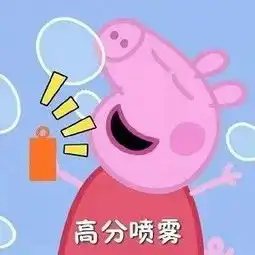 墨尔本五战雅思,我最后却在国内考场拿了口语8分