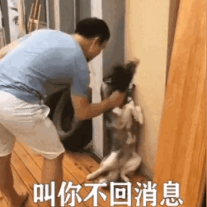 表情包恶搞斗图