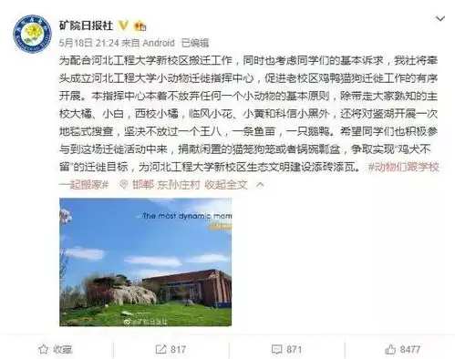表情橘猫界的李荣浩假鞋鉴定专家狗,这所大学的校宠太有趣了吧...表情
