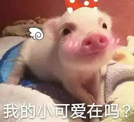 轻松一下96期萌番肉食店的宠物猪官方认证宝可梦婚礼爆笑解说室友吵架熊孩子战斗力有多强15秒称霸闯关节目飞机上的雷雨天
