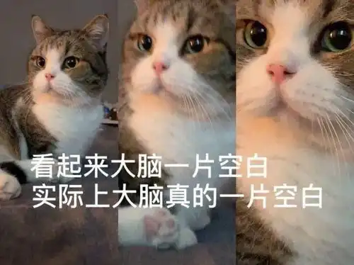 那我走哈哈哈哈哈哈丨第104期表情包