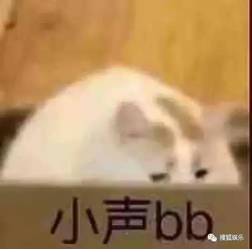 日报港姐冠军诞生谭松韵妈妈被撞案嫌犯尿检阳性王思聪甜仇分手