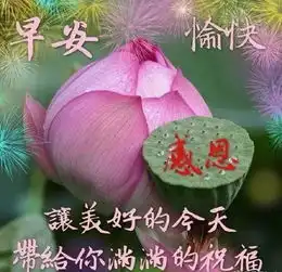 问候大家早安的优美句子2019最美丽的早上好祝福表情