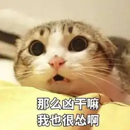 搞笑9张动物搞笑表情包让你笑个不停