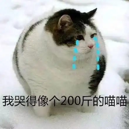 大风降雨第18号台风圆规对厦门都有这些影响