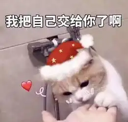 火遍种草平台的口碑品牌,新品更是好用到爆