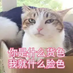 大爱和小爱梅根整天搞慈善,却连亲爹都不赡养,这是怎么肥事