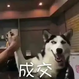 十条笑话为了让我们断网,长辈们不惜以最大恶意惴度我们的下场
