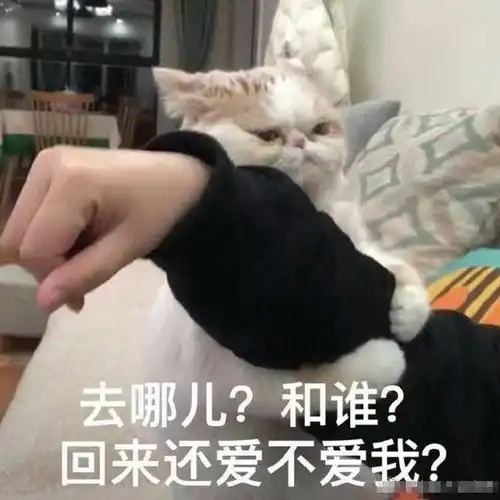 搞笑斗图表情包39张请问,我可以成为你的网上邻居吗