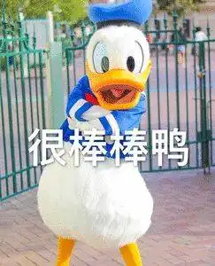 最近爆火的加油鸭表情大合集
