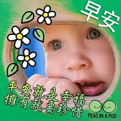 2021最美早安问候祝福动态表情图片最新漂亮冬季美女早上好动画表情包