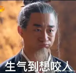 楚乔传里的左宝仓承包了我整部剧的笑点,话说他的真实身份是什么