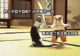 网络不回贴之笑图尽情的选择用吧