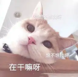 搞笑段子儿子每次要生活费,直接来一句,口粮拿过来