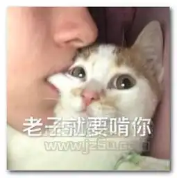 我闭眼了你亲吧表情图片我闭眼了你亲吧表情包无水印版jz5u绿色下载站