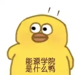 国科大能源学院,c位出道