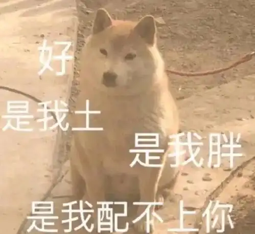 表情包图丨超级搞笑表情包图片带字0625期