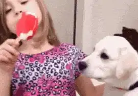 搞笑图片妹子看你表情这么痛苦,肯定是第一次打针