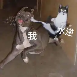 被坏运气盯上的我.感慨一下