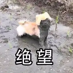 传销式招聘起底被骗到东南亚的程序员写出bug真的会被暴打