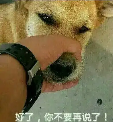 双十一,我们只和单身的人玩儿