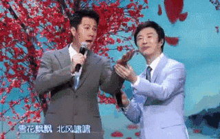 李宇春的皮草贾玲的酒窝贾乃亮的表情包这才是春晚