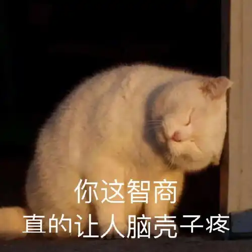 表情包动图有空一起拉屎
