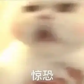 搞笑又实用的表情包猫咪惊恐