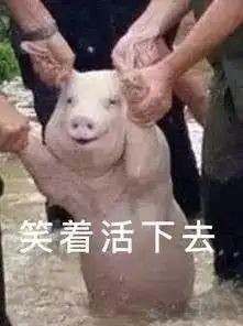 盘点各国2019年猪年邮票的设计,中国的这位设计师你粗来