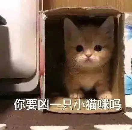 娇妻与驴颅内长屌